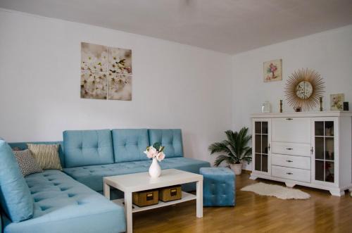 Sector 2 Apartment | Collosal Apartment with Garden