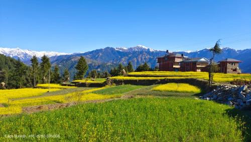 Jogindarnagar Bed & Breakfast | Colonel's Barot Highland Retreat