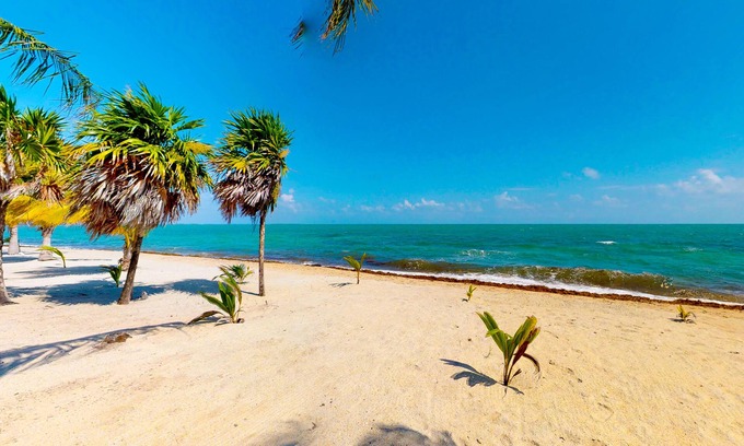 Placencia Cabin | Colorful and charming cabana with WiFi & partial AC - walk to beach