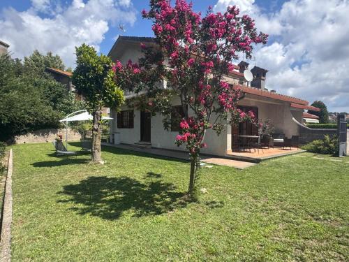 San Lorenzo Nuovo Apartment | Come a Casa SLN
