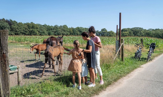 Zutendaal Villa | Comfort 10-person villa in the holiday park Landal Mooi Zutendaal