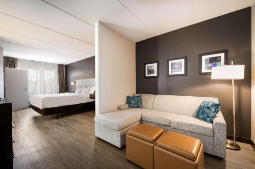 Paw Creek Hotel | Comfort Suites Northlake