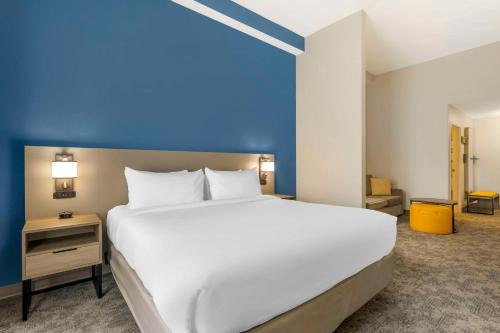 Bee Ridge Hotel | Comfort Suites Sarasota-Siesta Key