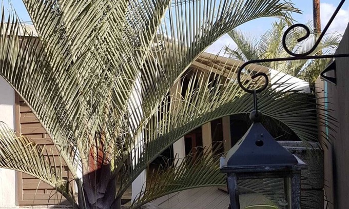 Dubedou House | Comfortable cottage with pool near the beach and Guadeloupe sites -
