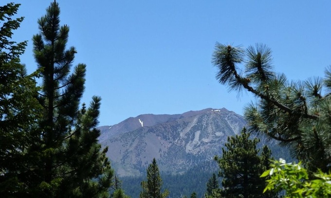 Majestic Pines Condo | Comfortable One Bedroom Condo with Awesome View at Mammoth