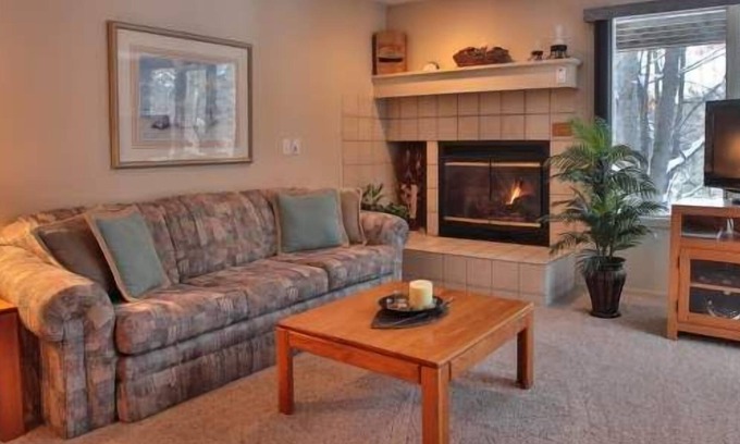 Harbor Springs Condo | Comfy 2 Bedroom, 2 Bath Condo #110 @ Trout Creek, Kitchen, Fireplace-By Heated Pools, Hiking Trails.