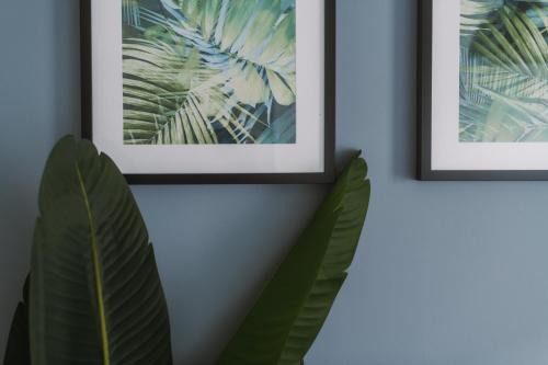 East End Apartment | ComfySleep Apartments