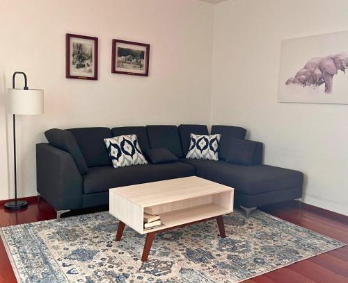 Hipodromo Apartment | Condesa Residence Amsterdam D Sunny 2Bed 1Bath Apt in Condesa