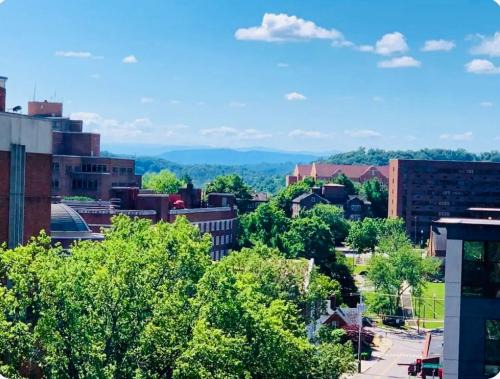 Fort Sanders Apartment | Condo Close to Stadium and Free Parking