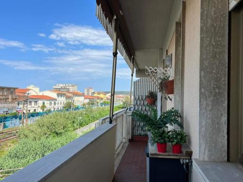 Rosignano Solvay Apartment | Condominio melograno