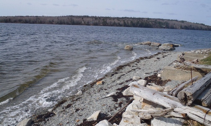 Surry Cottage | Contention Cove - Classic Maine Cottage
