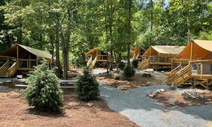 Saluda Cabin | Convenient Stay, Superb Location! Few Steps to Green River Game Lands