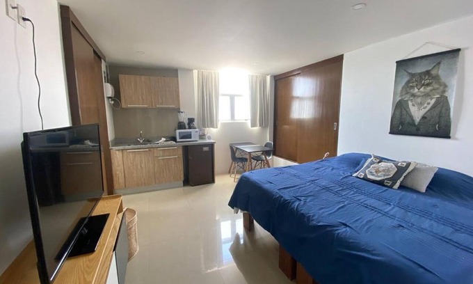 Miguel Hidalgo Apartment | cool & comfy suite with GYM. Polanco