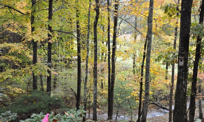 Blairsville House | Coosa Home