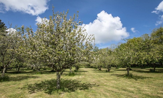 Newquay House | Cornish Manor house 22 acres, 10 mins from surfing beaches