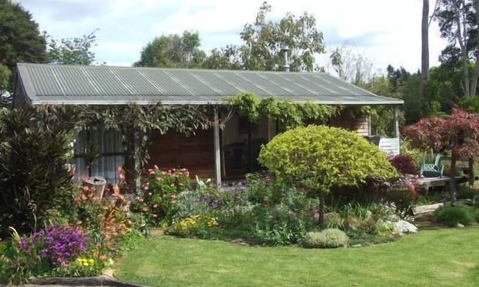 Coromandel Cottage | Coromandel Orchard Cottage