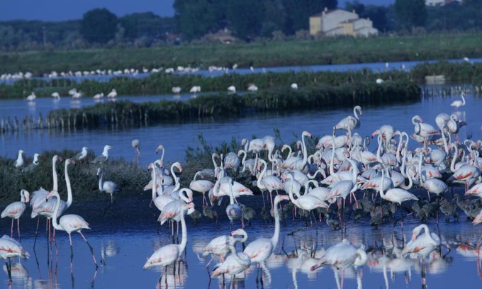 Comacchio House | Corte Spina