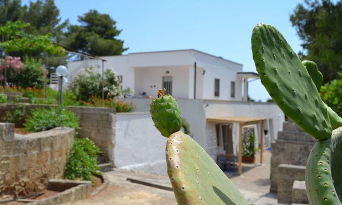 Torre Vado Apartment | Cosy apartment for 4 guests with A/C, TV, patio, pets allowed and parking