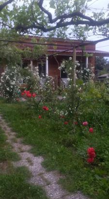 Kvareli House | Cottage and Gigo Papa's Wine Cellar