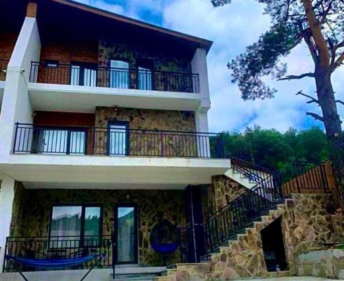 Bakuriani House | Cottage V1