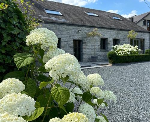 Vaux-sur-Sure House | CottageChristine