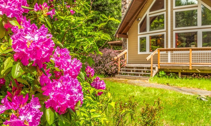Packwood Cabin | Cottonwood Chalet - Great Getaway near Mount Rainier