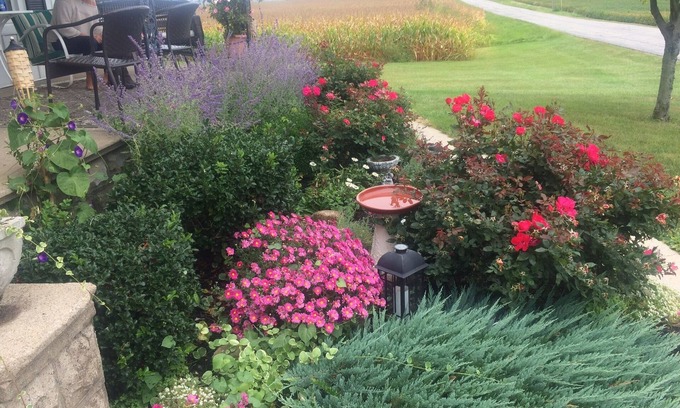 Shelby Other | Country Farm house