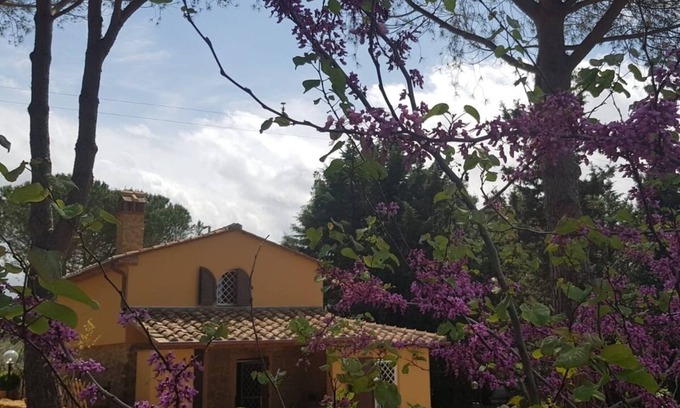 Casale Marittimo House | Country house on the stone immersed in the green of the olive trees of the hill