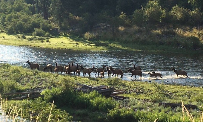 Stites Cabin | Country retreat with Mountain View’s and pool World class fishing and hunting