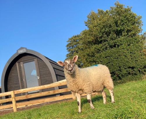 Great Fryup Dale Other | Cow Pasture Pod