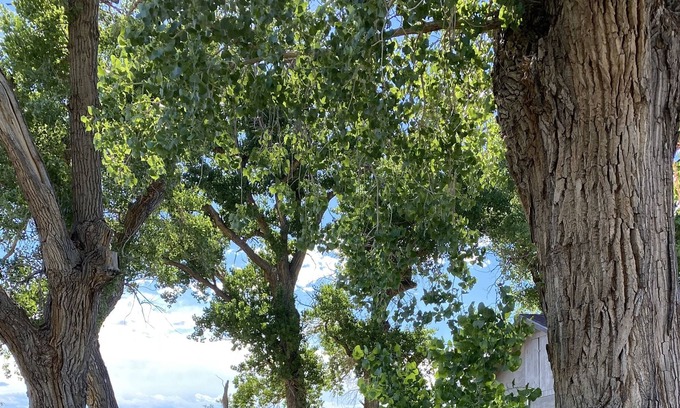 Hoehne Other | Cowboys Hideout on Historic Santa Fe Trail