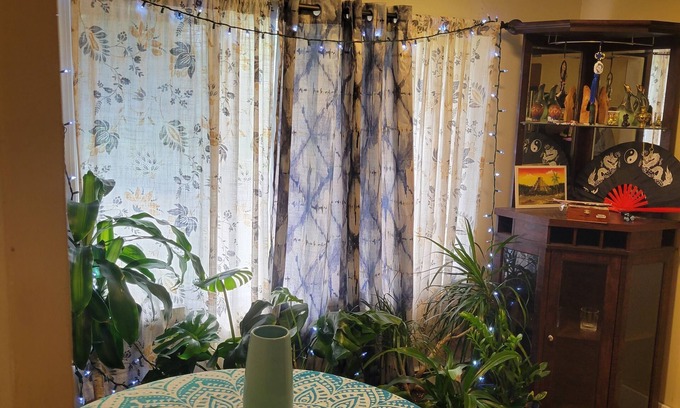 Chicopee Apartment | Cozy 1-bedroom apartment in the heart of Chicopee