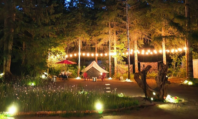 Pierce County RV Rental | Cozy 5 Sites Campground in serene Elbe with Shared Kitchen, Water, Lights, Wifi