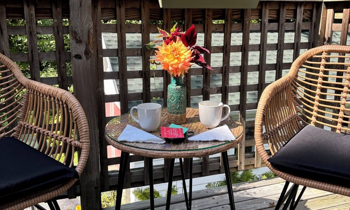 Mount Tremper Apartment | Cozy bright sunny 1-bedroom with quiet AC and WiFi in charming Mount Tremper