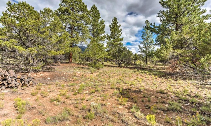 Buena Vista Apartment | Cozy Buena Vista Apartment Less Than 4 Mi to Main Street!