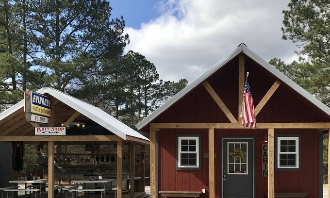 Townville Cabin | Cozy Cabin 2/LAKE HARTWELL/Green Pond & Broyles Lndgs/Lockable Boat Shelters