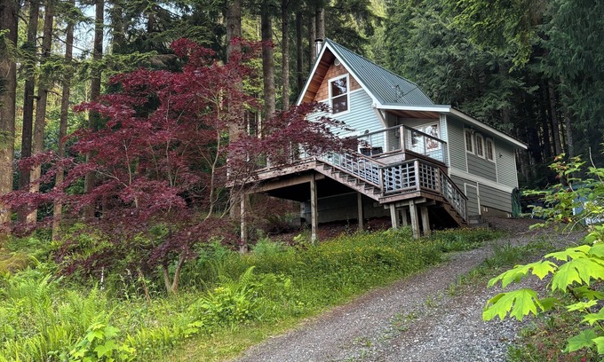 Lime Kiln Cabin | Cozy Cabin by Lake Cavanough