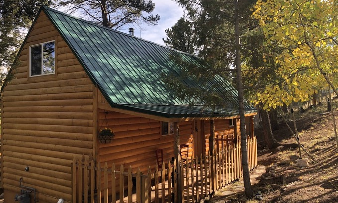 Florissant Cabin | Cozy Cabin D in the trees