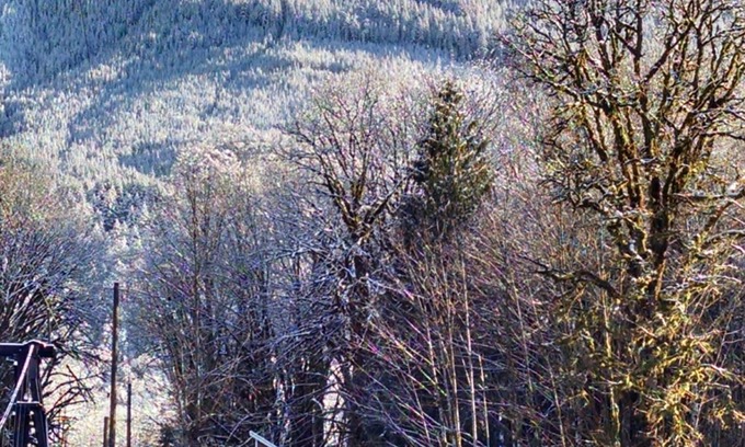 Baring Cabin | Cozy cabin on the river near Stevens Pass. Pet friendly with lots of amenities