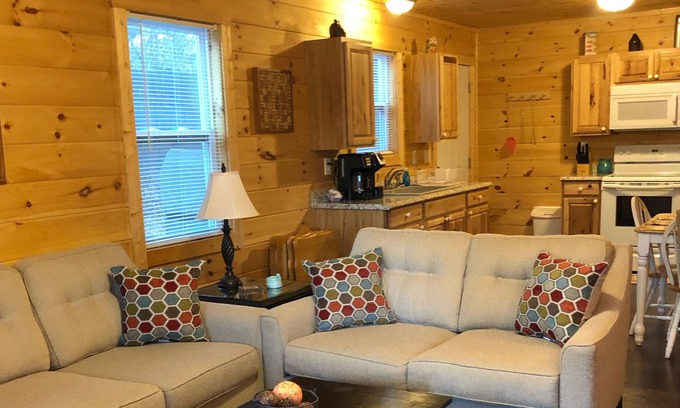 Mountain City Cabin | Cozy Cabin Overlooking Private Lake