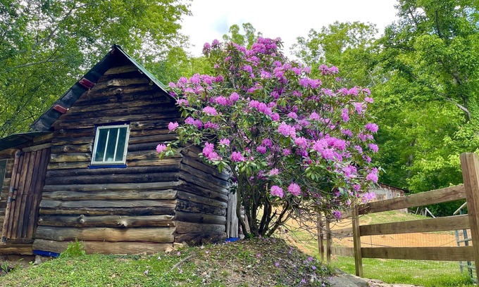 Green Mountain Cabin | Cozy Cabin: Peaceful Haven in the Heart of Nature