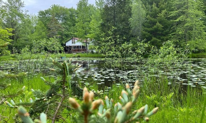 Ellenville Cottage | Cozy Cottage with a Pond