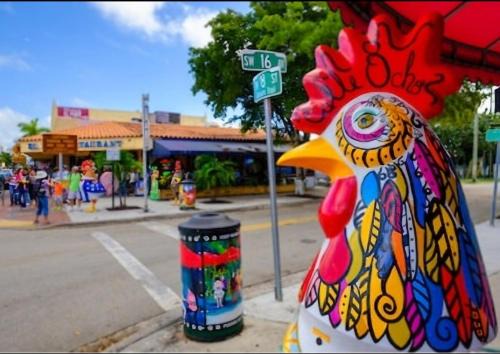 East Little Havana Apartment | Cozy Entire apartment in the heart of Miami