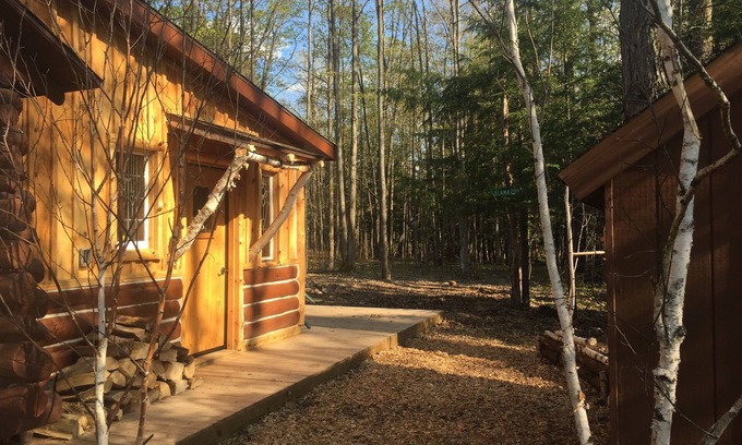 Mayfield Cabin | Cozy Family and Pet-Friendly Cabin Near Fife Lake, 5-minute drive. Camp fire