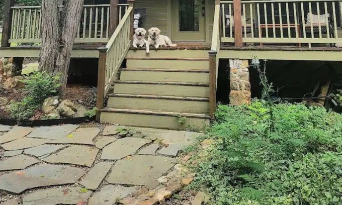 Leesburg Cottage | Cozy Farm Cottage on secluded 14 acre farm on the outskirts of Leesburg