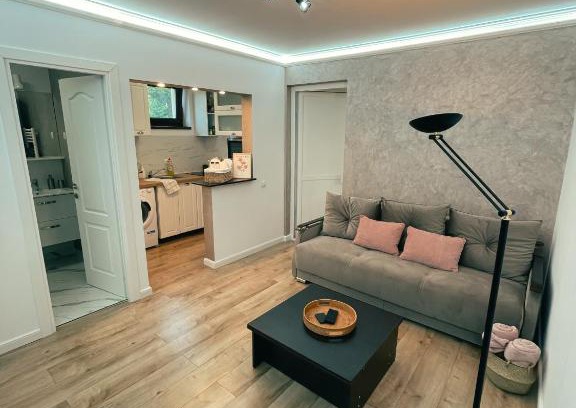 Tirgu Mures Apartment | Cozy Glen