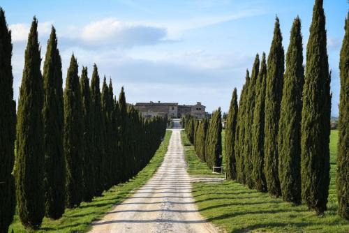 Asciano Apartment | Cozy home in countryside Asciano Siena -renovated!
