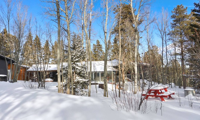 Black Hawk Cabin | Cozy mountain cabin close to hiking/biking, skiing, casinos, good food and more!
