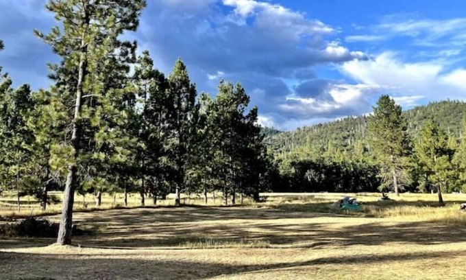 North Fork House | Cozy mountain meadow studio near Yosemite!
