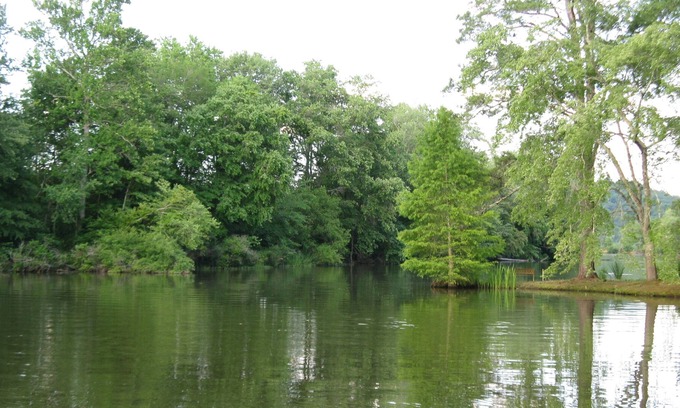 Georgetown House | Cozy River Front House - Private Dock And Boat Ramp